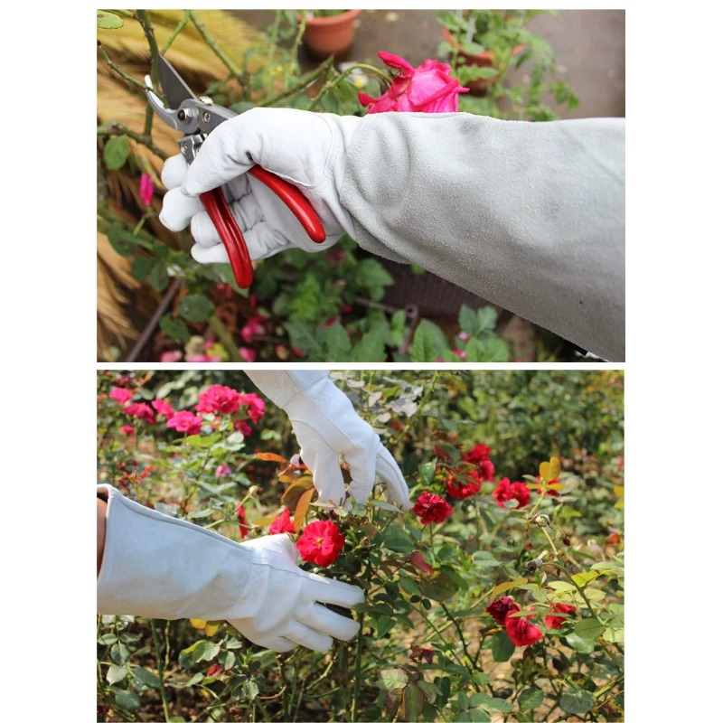 Ein Paar Gartenhandschuhe, dor – Gardening Glove Waterproof Bewertung und Preis